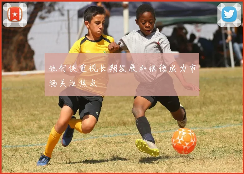 独行侠重视长期发展加福德成为市场关注焦点